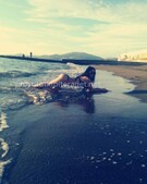 Анкета проститутки Николь - метро Пресненский, возраст - 21